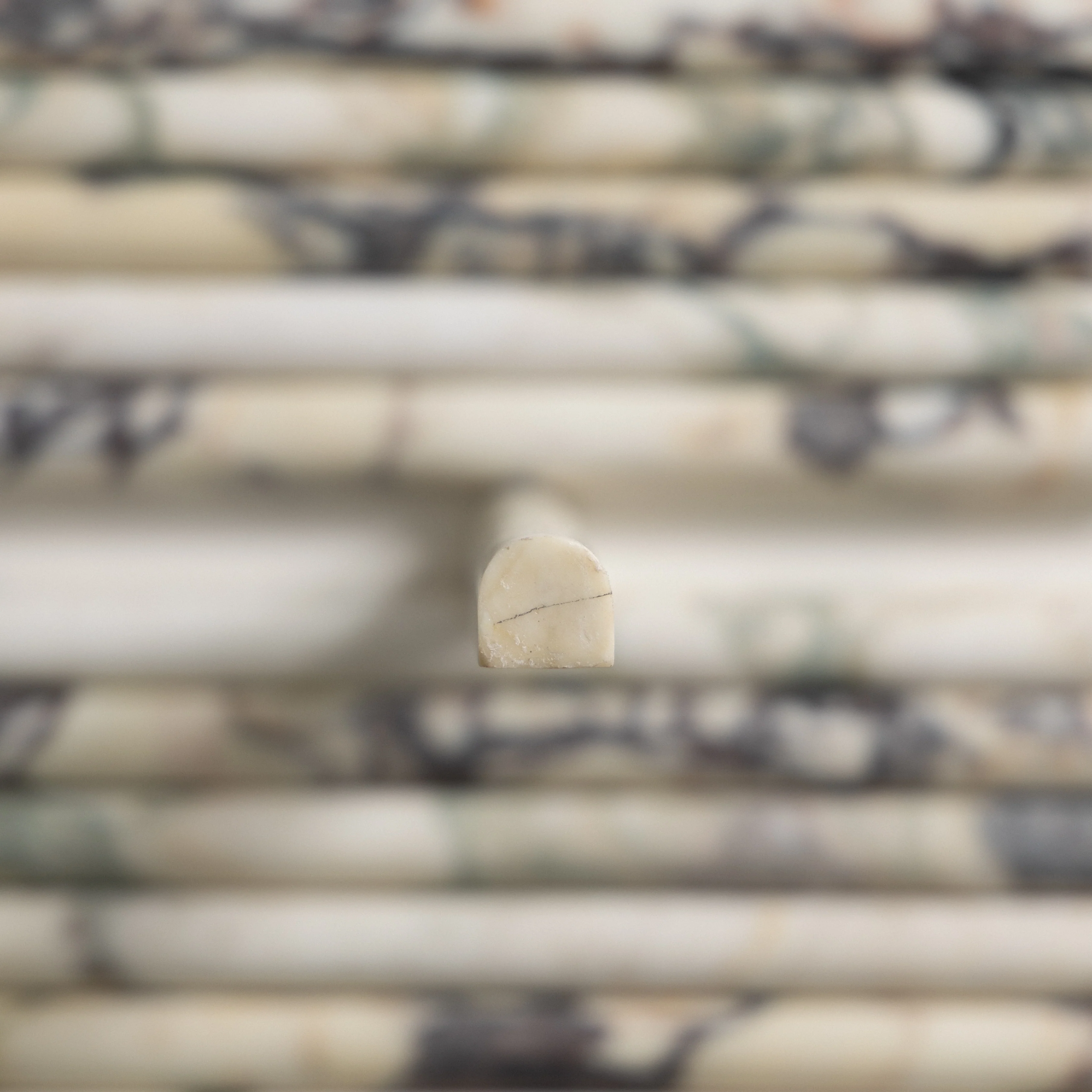 Viola Bullnose - Image 3